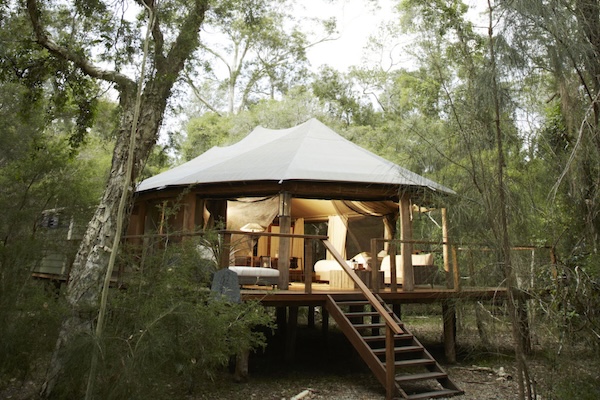 King Deluxe Tent Pbc Corriebond Exteriorsmall Fyoivb